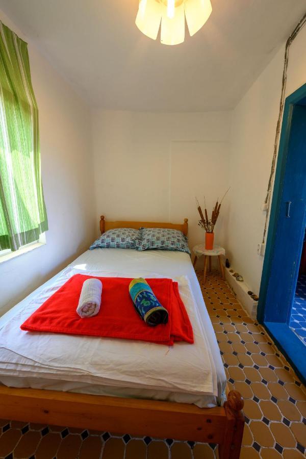 Danube Delta Hostel Homestay & Camping Sulina Exteriér fotografie