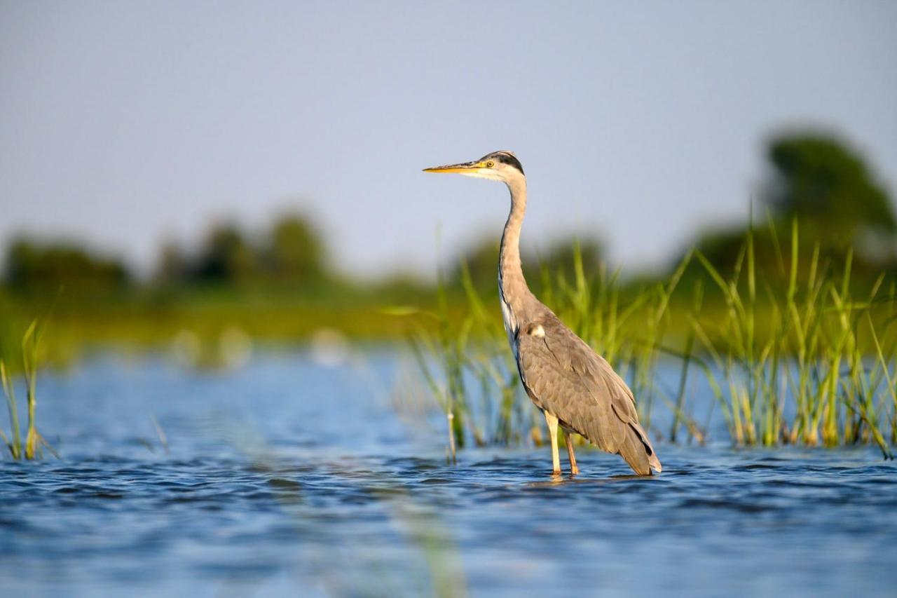 Danube Delta Hostel Homestay & Camping Sulina Exteriér fotografie